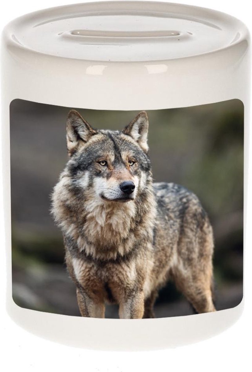 Dieren wolf foto spaarpot 9 cm jongens en meisjes - Cadeau spaarpotten wolf wolven liefhebber
