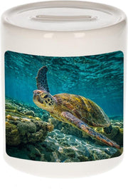 Dieren zee schildpad foto spaarpot 9 cm jongens en meisjes - Cadeau spaarpotten zee schildpad schildpadden liefhebber
