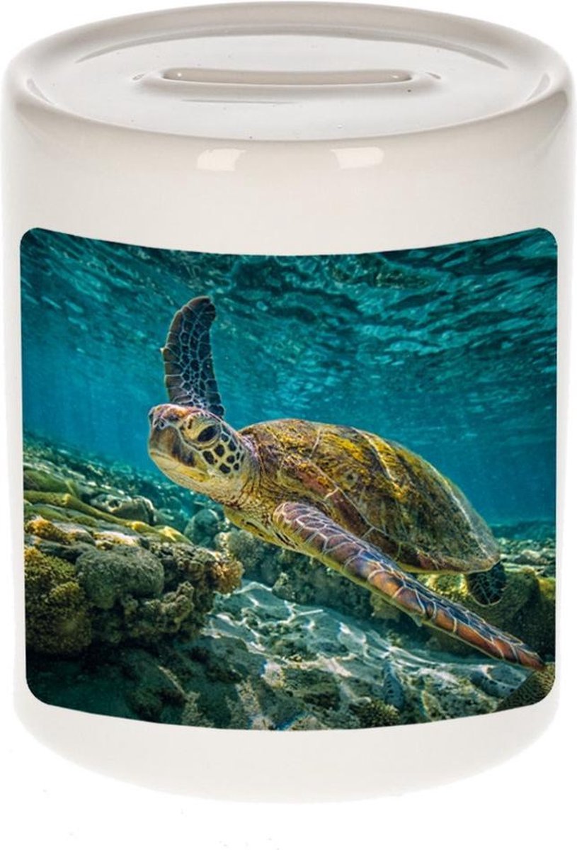 Dieren zee schildpad foto spaarpot 9 cm jongens en meisjes - Cadeau spaarpotten zee schildpad schildpadden liefhebber