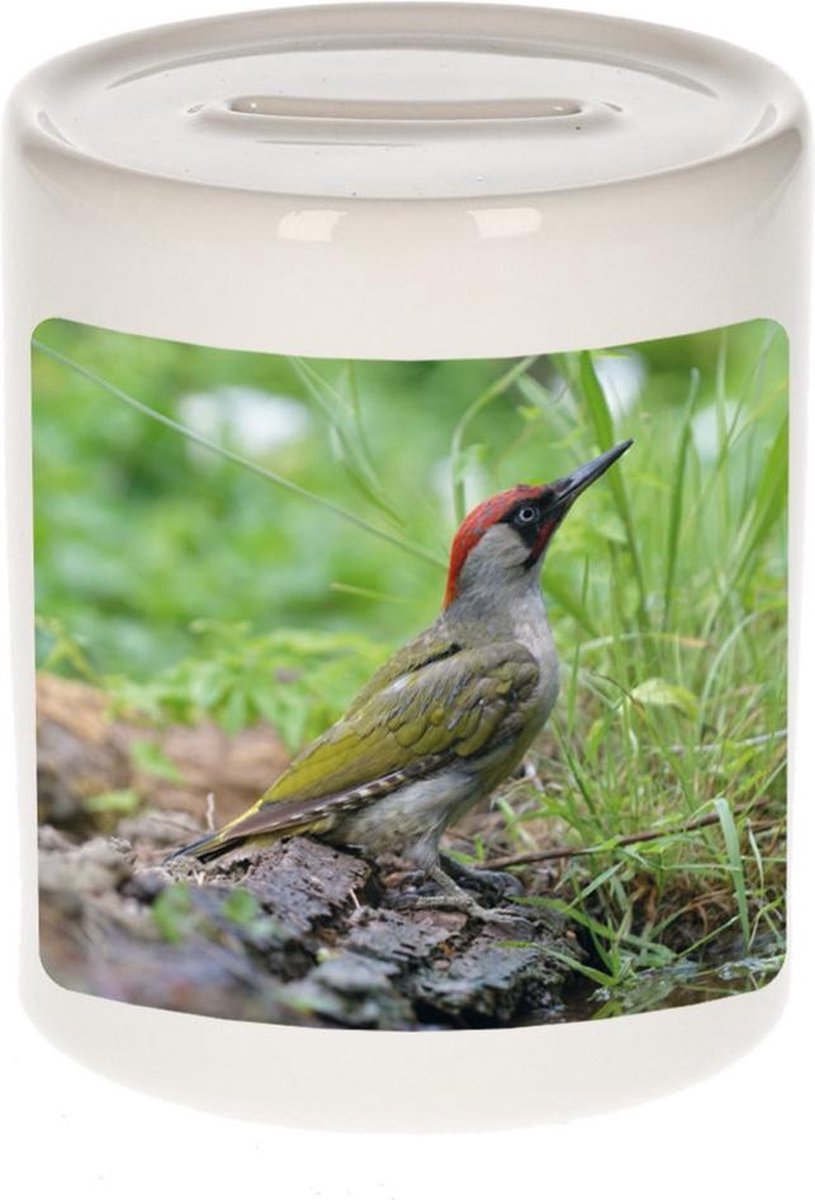 Dieren groene specht foto spaarpot 9 cm jongens en meisjes - Cadeau spaarpotten groene specht vogels liefhebber