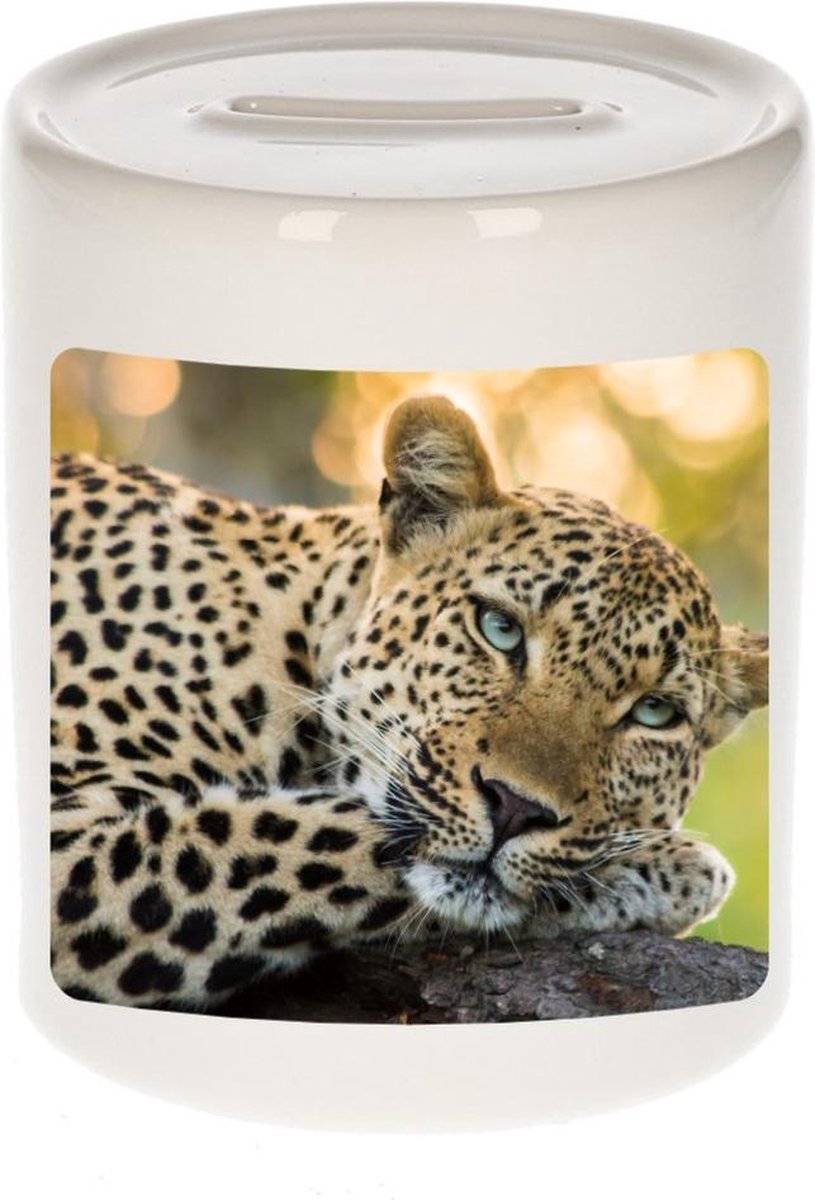 Dieren luipaard foto spaarpot 9 cm jongens en meisjes - Cadeau spaarpotten jaguars/ luipaarden liefhebber