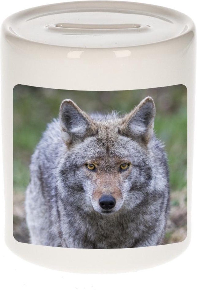 Dieren wolf foto spaarpot 9 cm jongens en meisjes - Cadeau spaarpotten wolven liefhebber