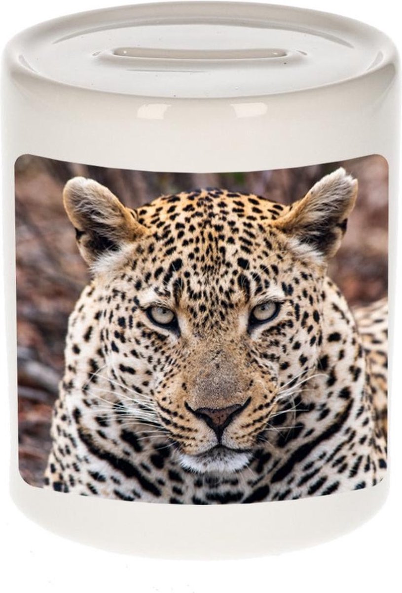 Dieren jaguar foto spaarpot 9 cm jongens en meisjes - Cadeau spaarpotten jaguar jaguars liefhebber