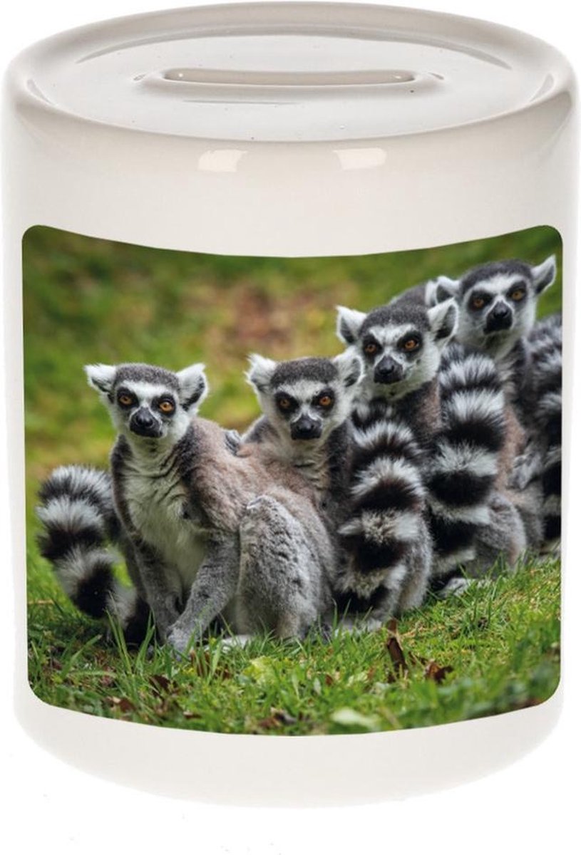 Dieren maki familie foto spaarpot 9 cm jongens en meisjes - Cadeau spaarpotten maki familie maki apen liefhebber