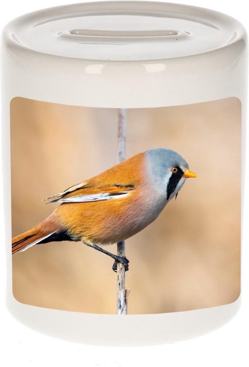 Dieren baardmannetje vogel foto spaarpot 9 cm jongens en meisjes - Cadeau spaarpotten baardmannetje vogel vogels liefhebber