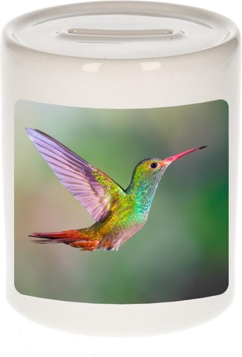 Dieren kolibrie vogel foto spaarpot 9 cm jongens en meisjes - Cadeau spaarpotten vogels liefhebber