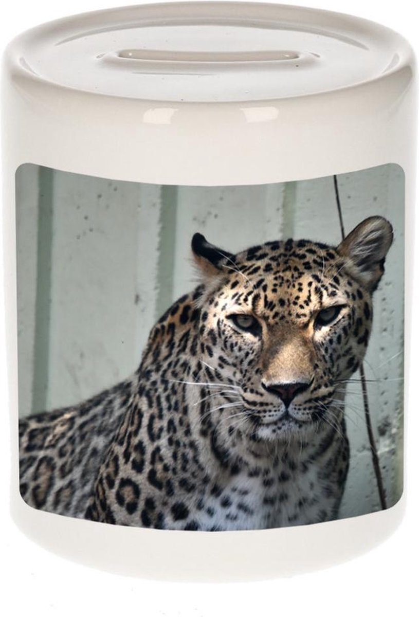 Dieren gevlekte jaguar foto spaarpot 9 cm jongens en meisjes - Cadeau spaarpotten gevlekte jaguar jaguars liefhebber