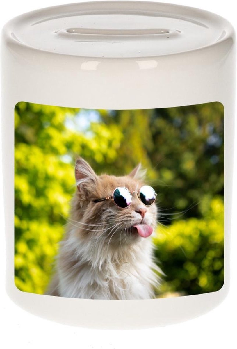 Dieren gekke poes foto spaarpot 9 cm jongens en meisjes - Cadeau spaarpotten katten liefhebber