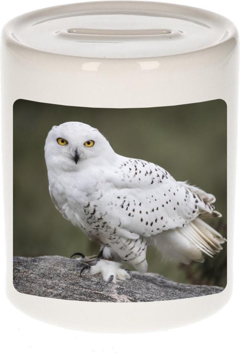 Dieren sneeuwuil foto spaarpot 9 cm jongens en meisjes - Cadeau spaarpotten uilen / vogel liefhebber