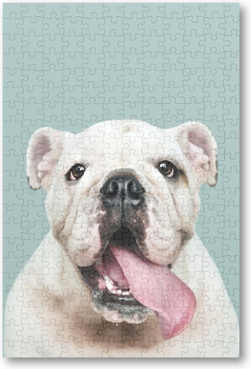 Schattig portret van witte Bulldog Puppy - 252 Stukjes puzzel voor volwassenen - Besteposter - Dieren