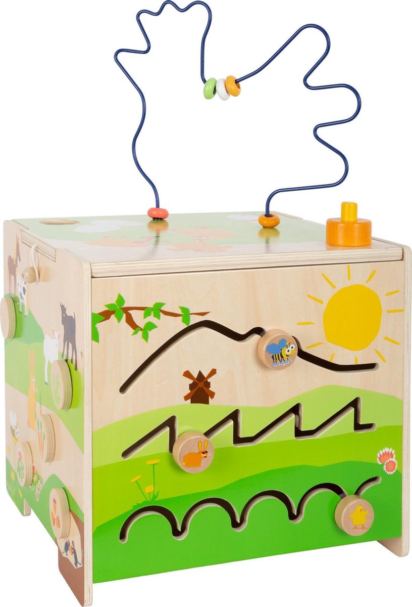 Motor Activity Cube Landleven