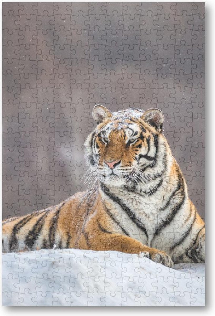 Siberische tijger op een winterse dag - 252 Stukjes puzzel voor volwassenen - Besteposter - Dieren