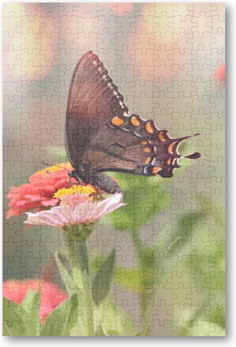 Kleine zwarte satyrium vlinder op een roze bloem - 252 Stukjes puzzel voor volwassenen - Dieren - Natuur - Bloemen