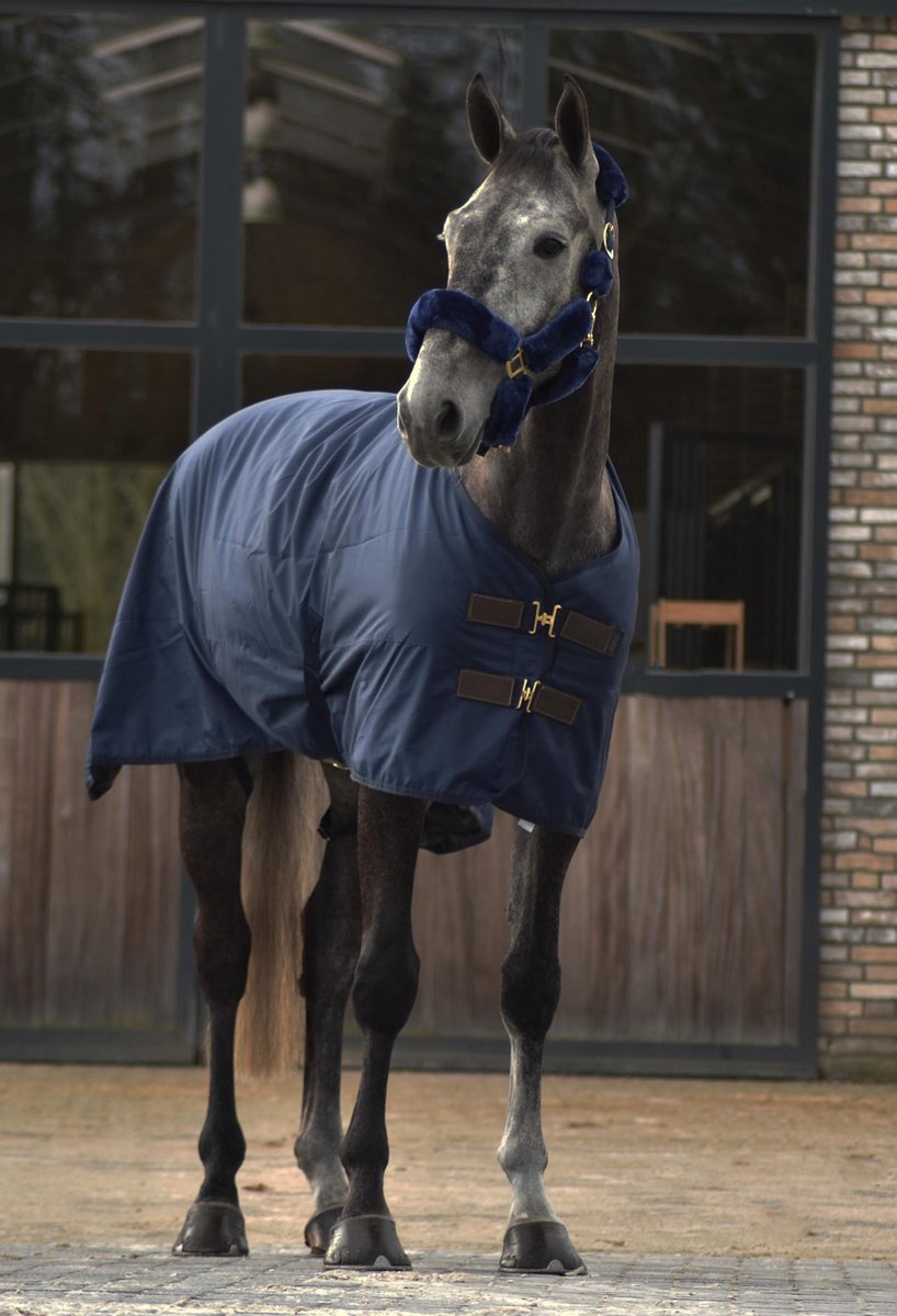 Cavar Winterdeken 300 gram Donkerblauw 205cm