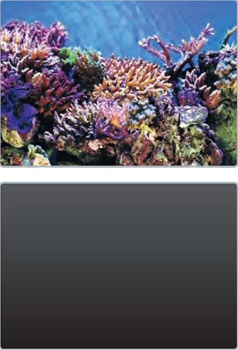 Superfish foto achterwand 2in1 SF Deco Poster A2 60x49cm
