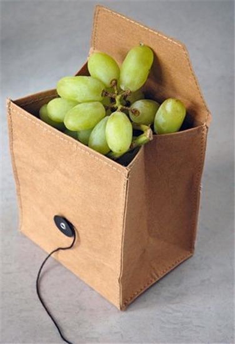 Zuperzozial Fruitzakje lunch bag