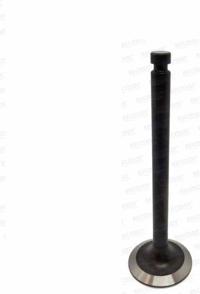 Yanmar INTAKE VALVE 4JH
