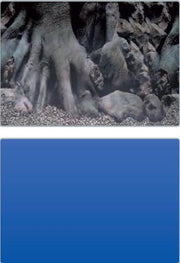 Superfish foto achterwand 2in1 SF Deco Poster D5 120x61cm