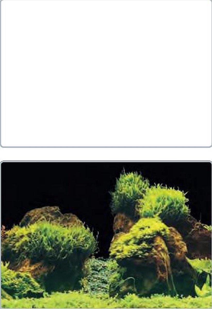 Superfish foto achterwand 2in1 SF Deco Poster E6 150x61cm