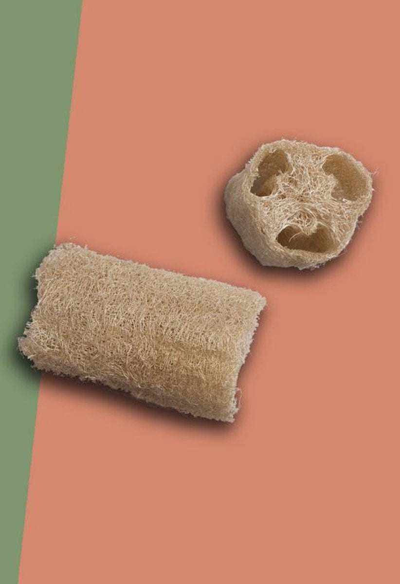 Jungle loofah |  Extra large