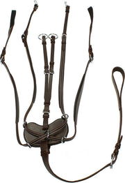 Epplejeck Borsttuig  Coventry - Brown-silver - full