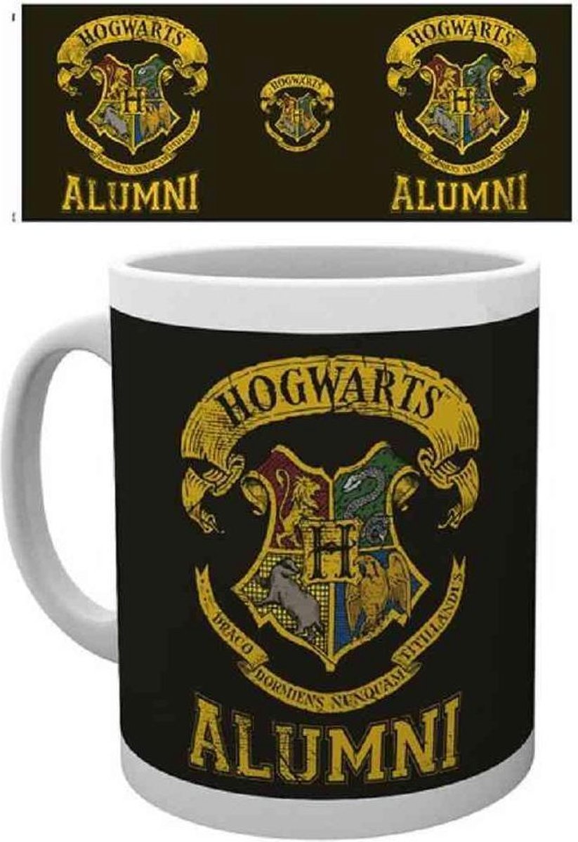 Harry Potter Alumni Mok