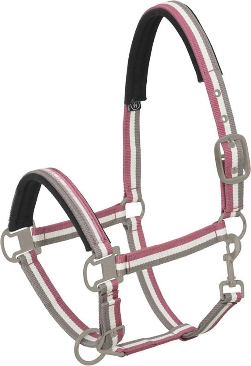 Eskadron Halster  Classic Striped - Pink - pony
