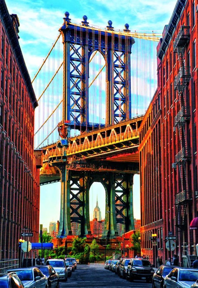Educa Manhattan brug in New York - 1000 stukjes