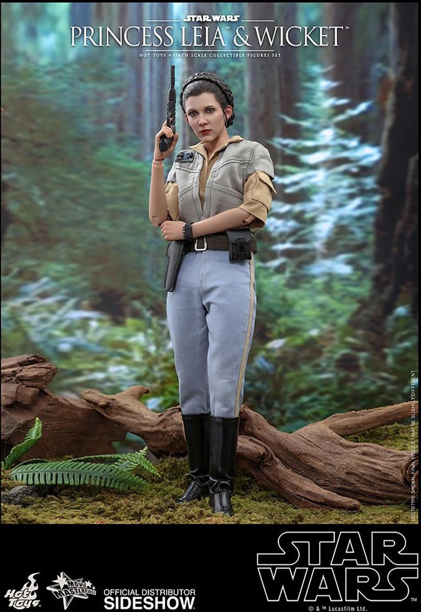 Hot toys Star Wars: Return of the Jedi - Princess Leia and Wicket 1:6 Scale Set