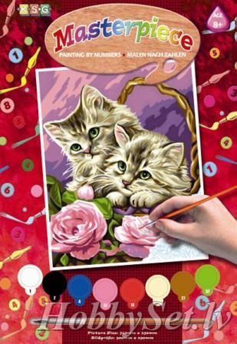 Schilderen op Nummer - Kitten