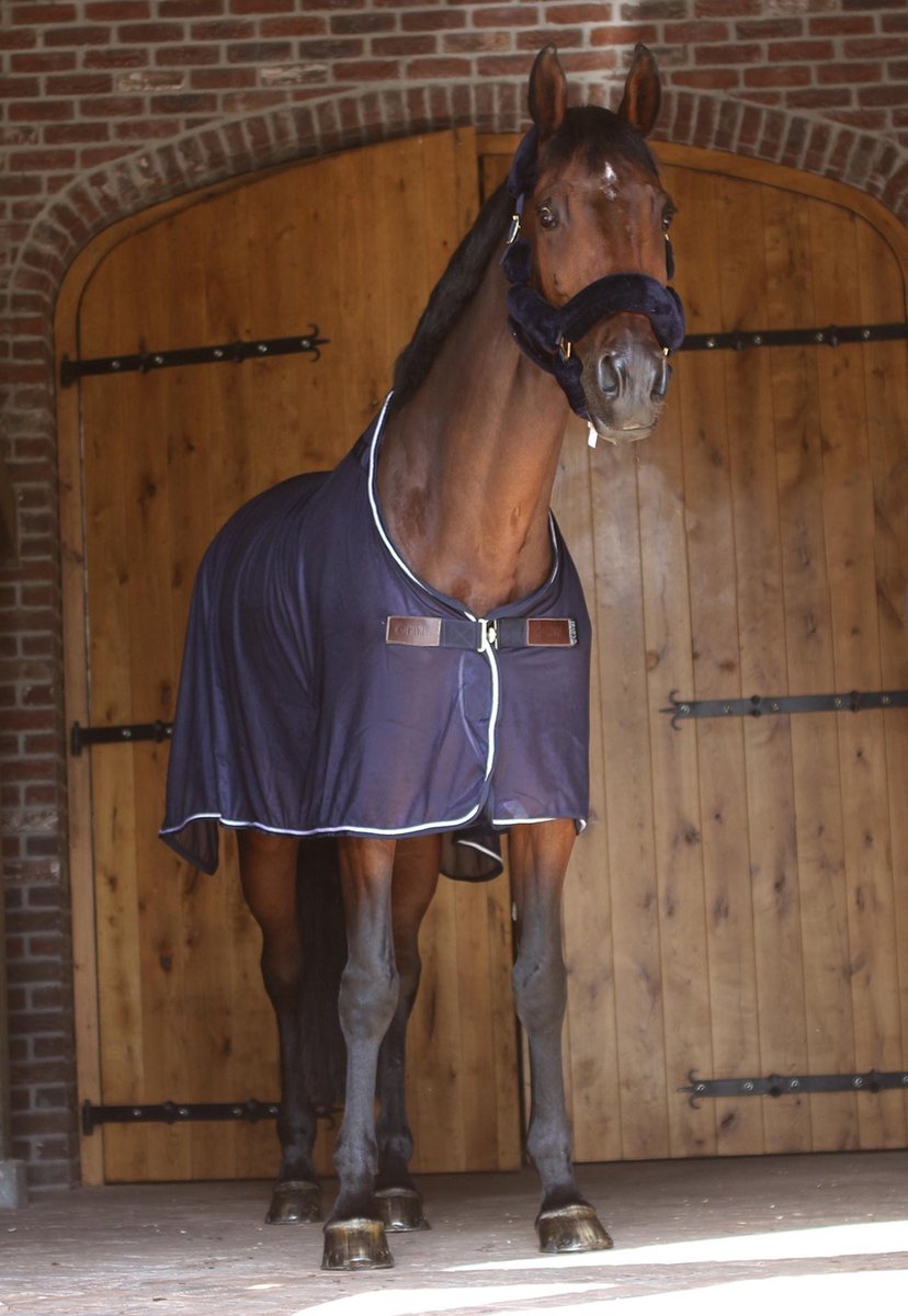 Cavar Vliegendeken Donkerblauw 205cm - vliegen deken  - mesh - vliegendek