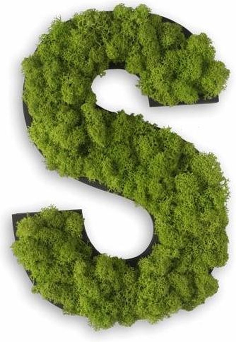 Stylegreen Alfabet letters A t/m Z - Reindeer moss - 25cm