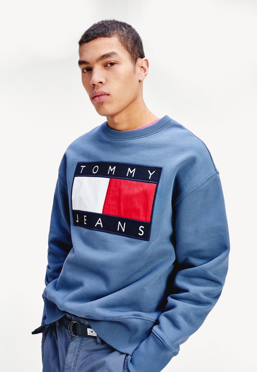 Tommy Hilfiger Sweater Flag Crew Blauw (DM0DM07201 - C0Z)