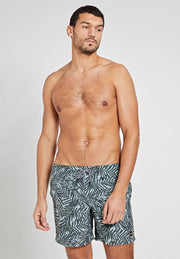 Shiwi Swimshort mangrove - silvered green - M