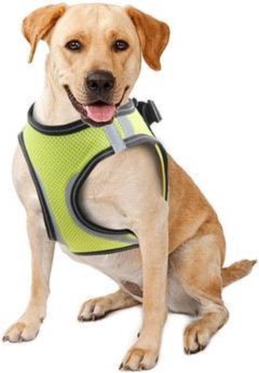 Pawise Doggy Safety Harness XL A:40-48cm B:50-54cm
