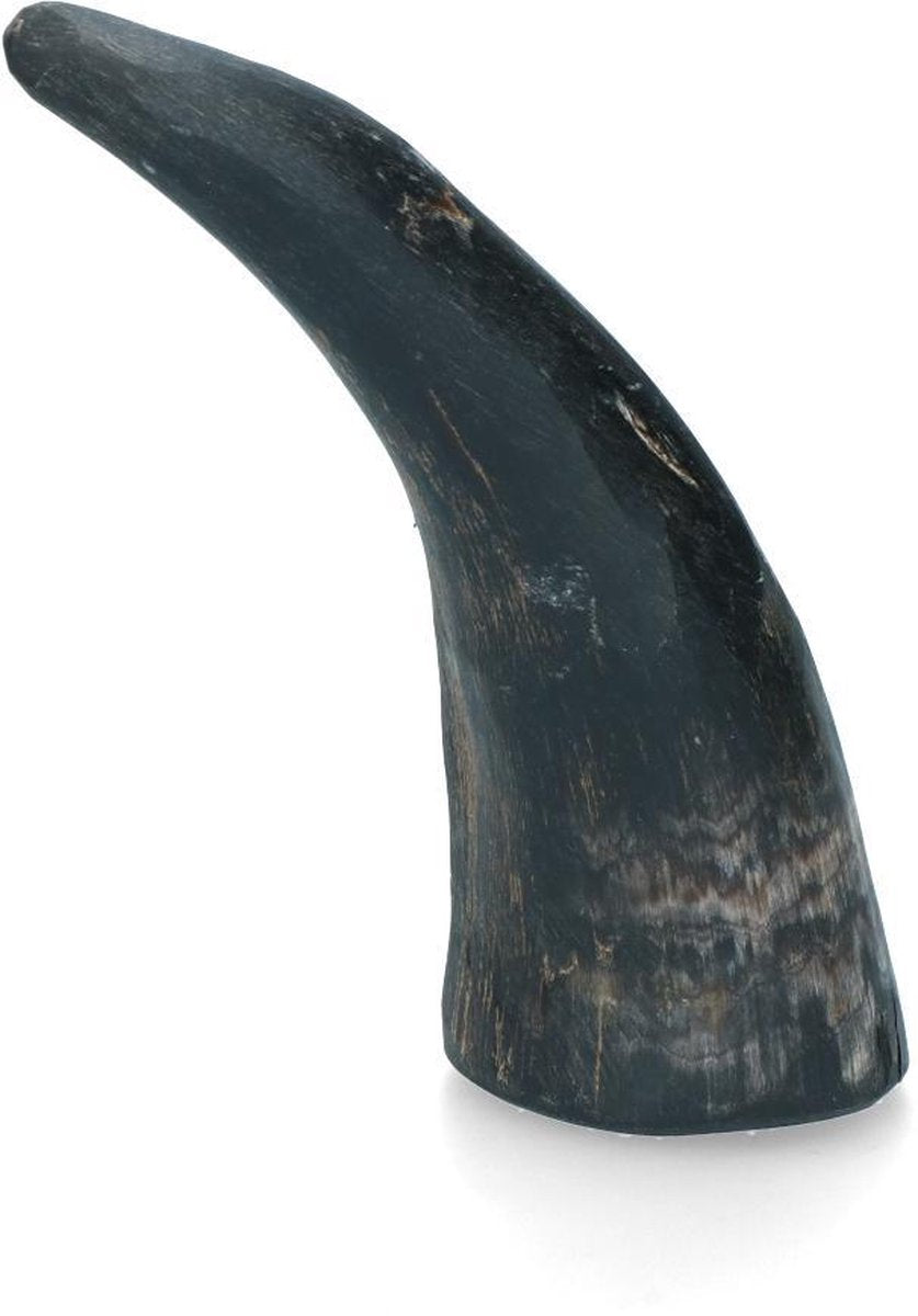 Viking whole Horn L