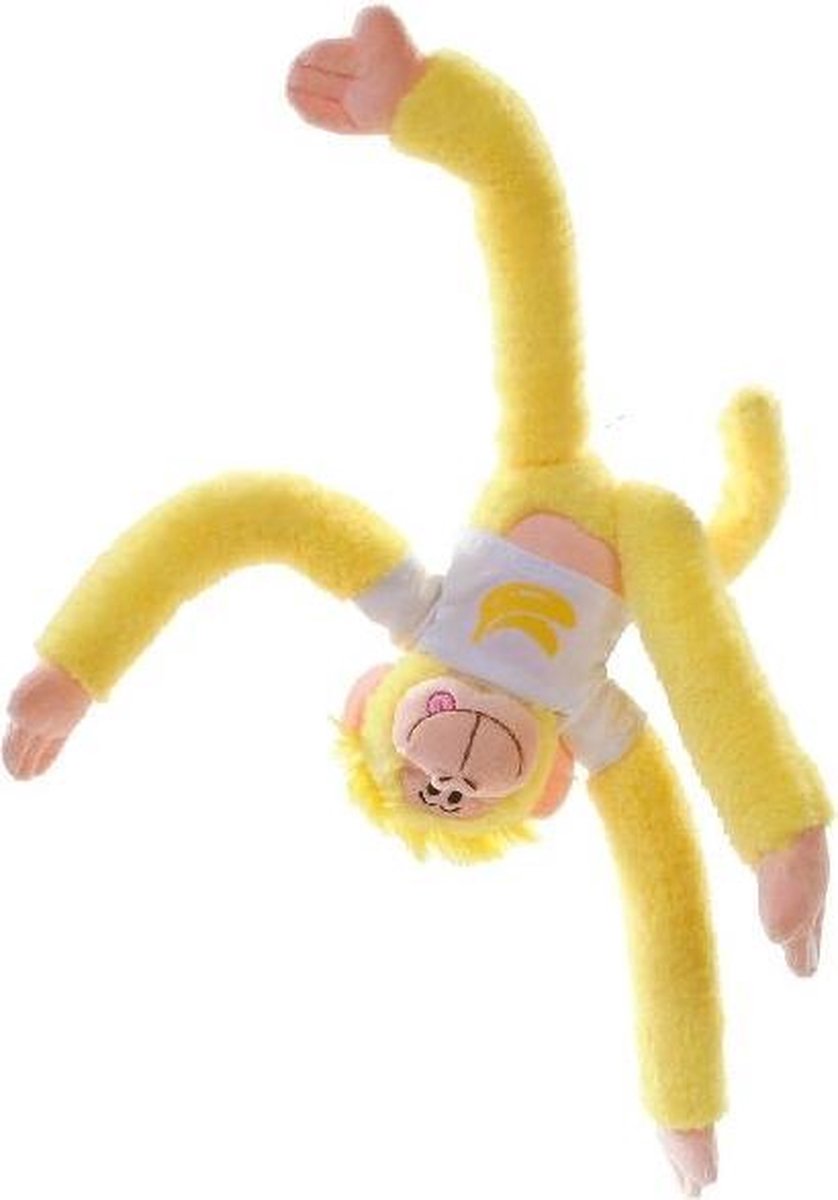 Rainbow Monkey Bennana Knuffel 40cm
