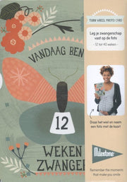 Milestone™Turn Wheel Photo Card - Pregnancy