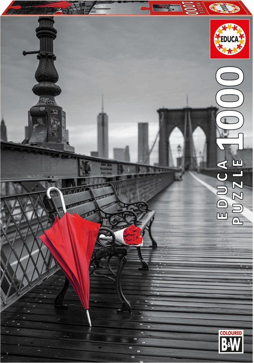 Educa 17691 puzzel 1000 stuk(s)