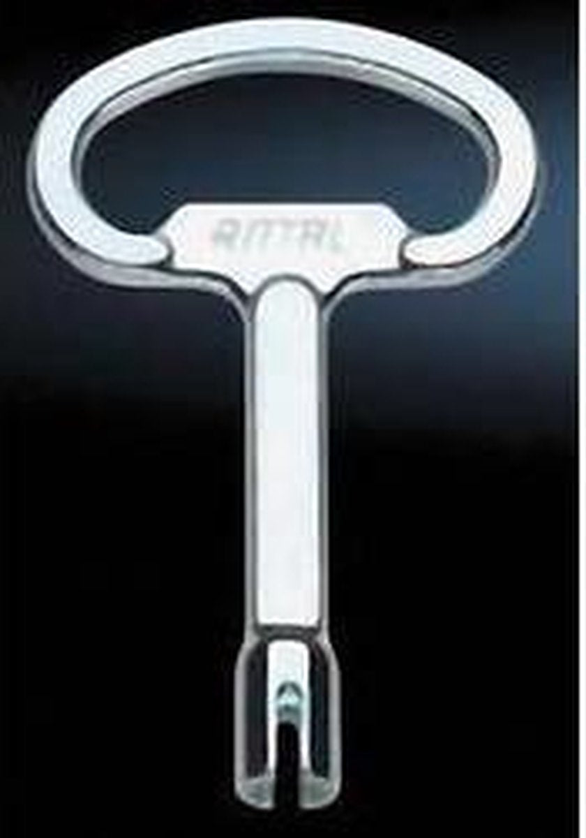 Rittal SZ 2521.000 Schakelkast sleutel Daimler Staal 1 stuk(s)