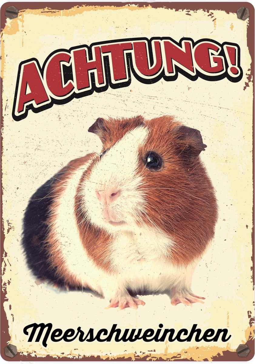 Plenty Gifts Waakbord Cavia Meerschweinchen 21 X 14