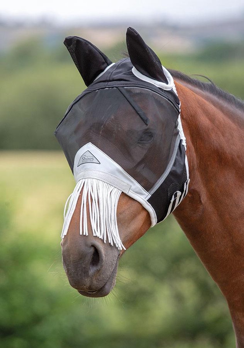 Vliegenkap Shires met oren en franjes over neus (6664) - Pony