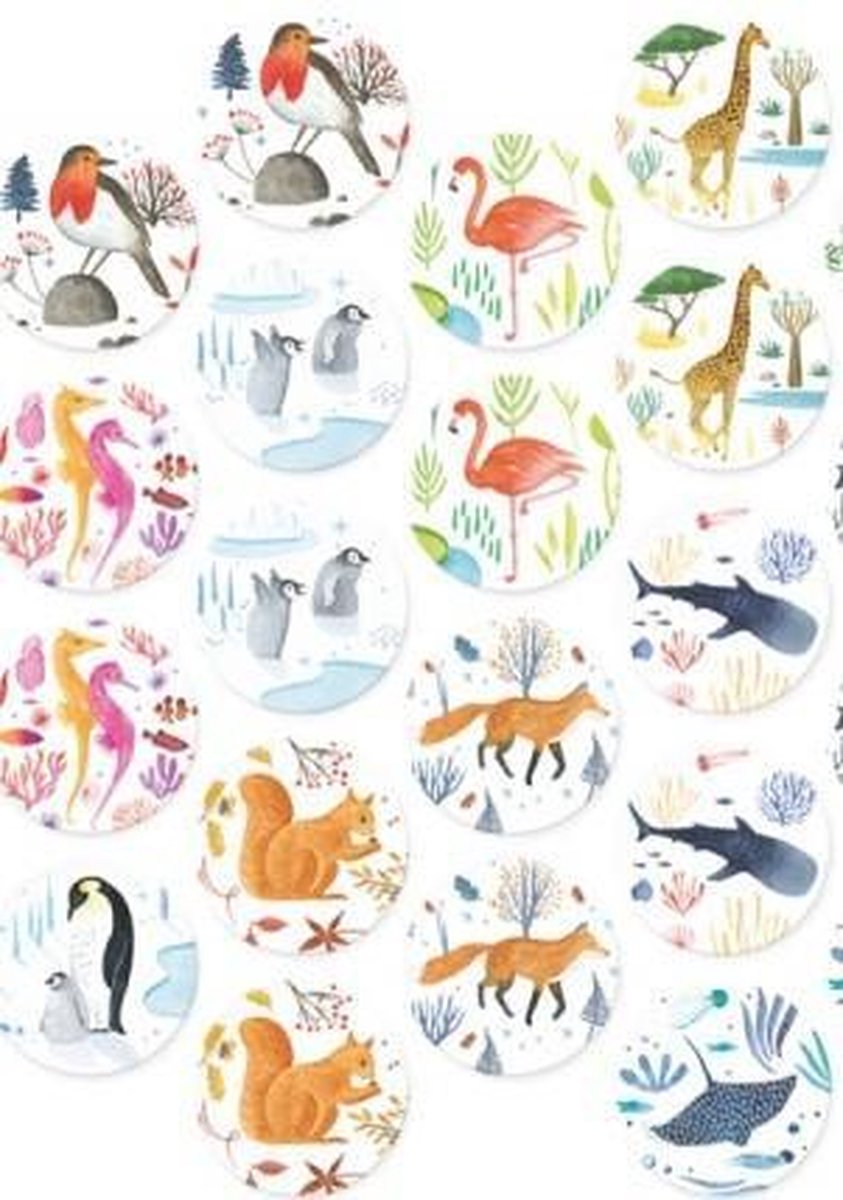 Wildlife memo memory 3+ - Londji