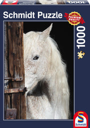 Paardenschoonheid