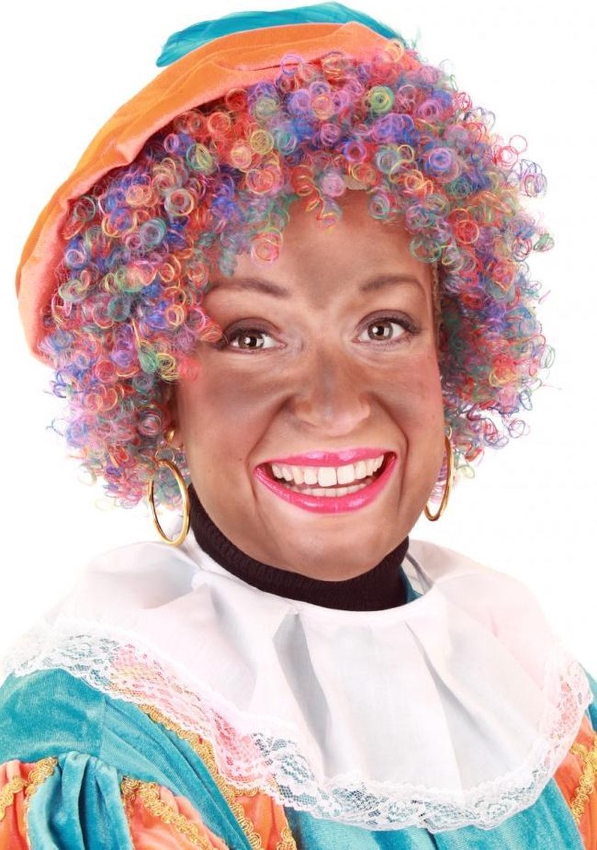 Regenboog Piet pruik gekleurde afro incl. haarnetje - Pieten Sinterklaas pietenpruik