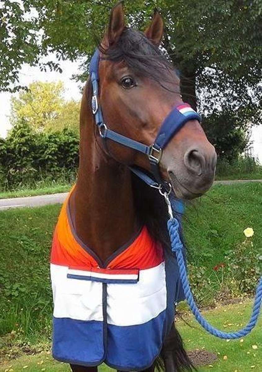 HB Holland Zweetdeken mt 195