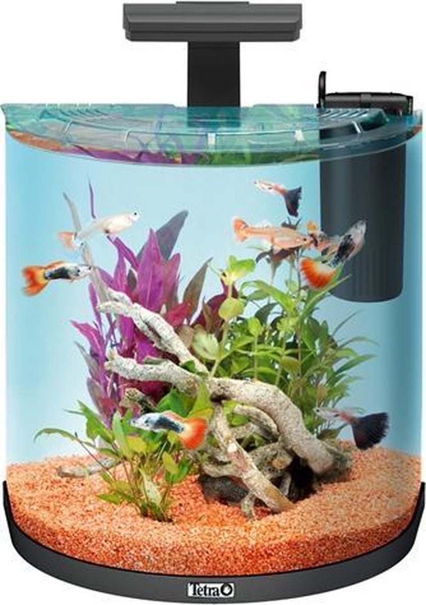 Boon Aquarium Explorer - Zwart - 30 L