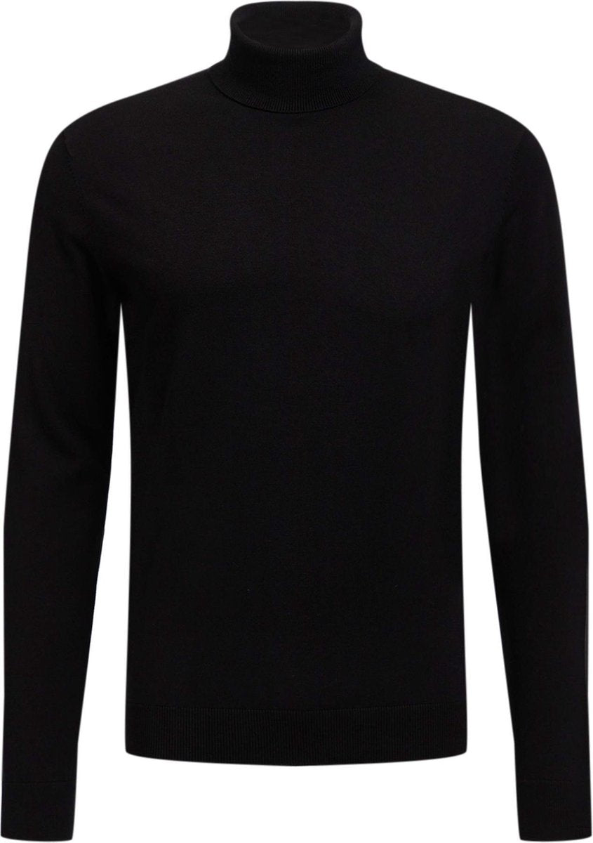 WE Fashion Heren fijngebreide coltrui - Maat M