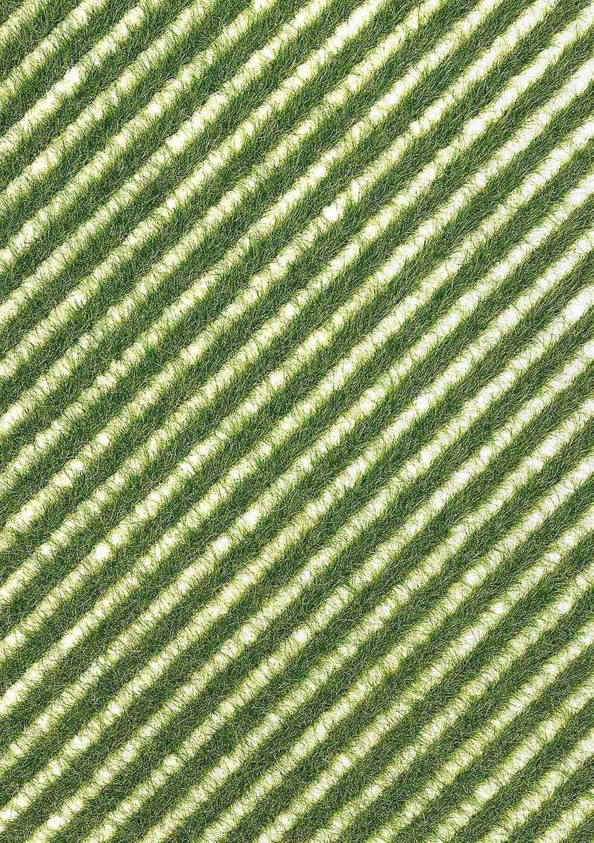 Busch - Grasstreifen Frühling (Bu1342)