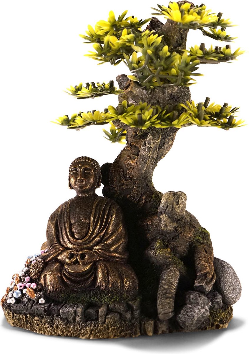 Aqua deco bonsai met boeddha 16x11